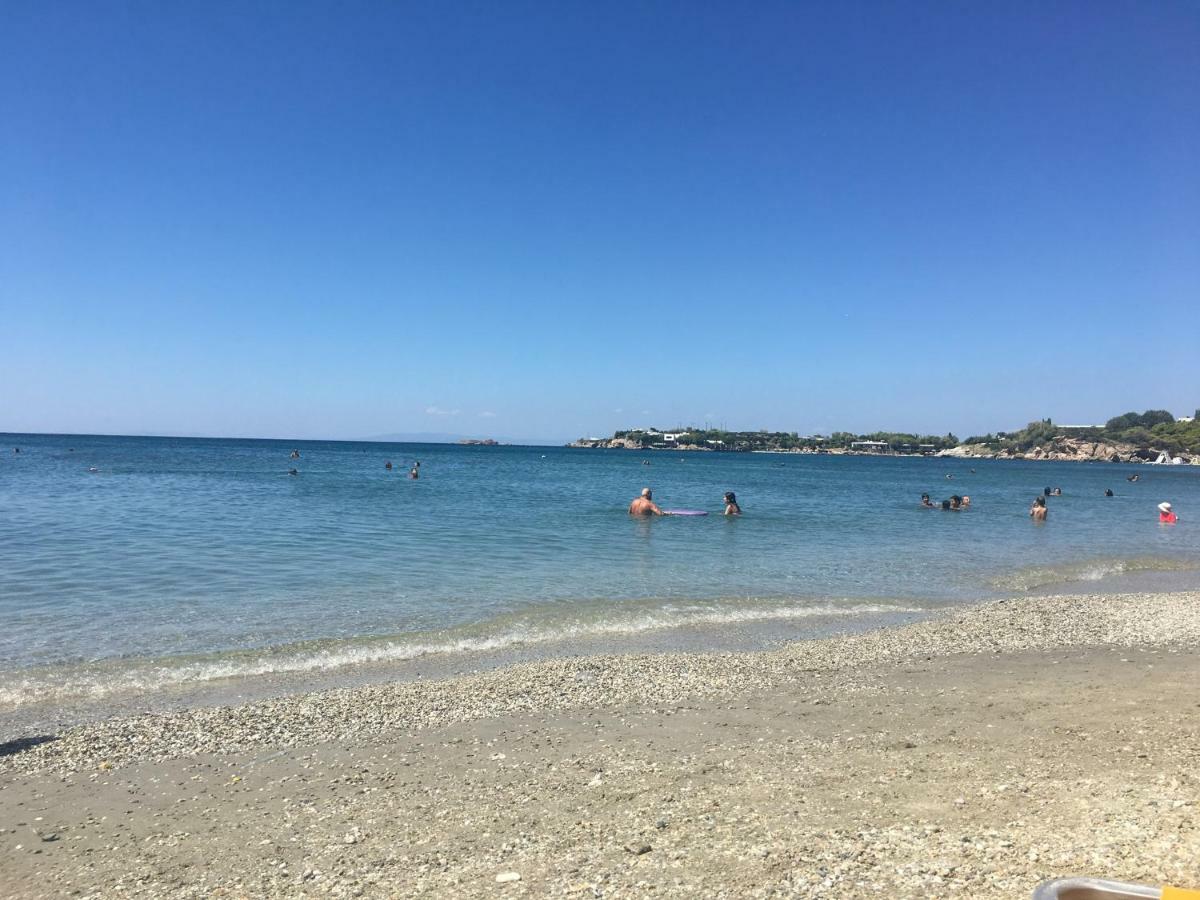 Villa Christina With Private Pool In Saronida, Near Stunning Beaches, Athens Airport & Sounio 外观 照片